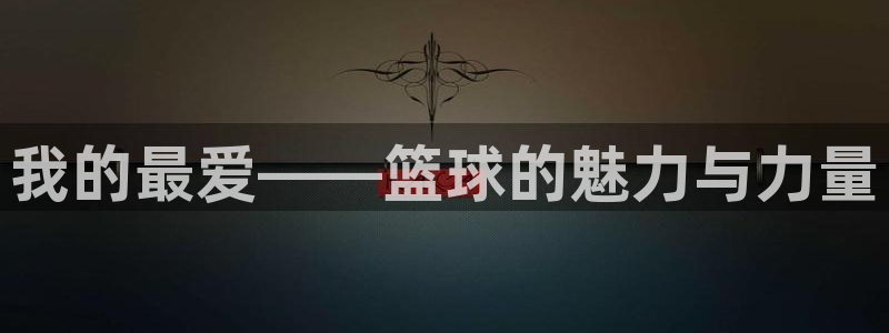 3377体育官方正版app官方：我的最爱——篮球的魅力与力量