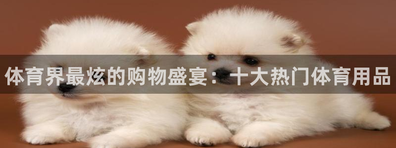3377体育官方正版app开户：体育界最炫的购物盛宴