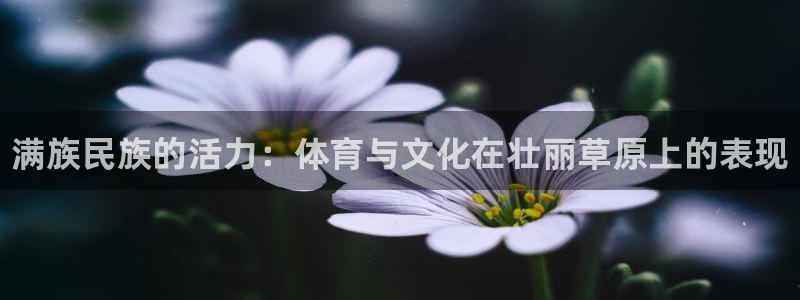 3377体育官方正版app代理：满族民族的活力：体育