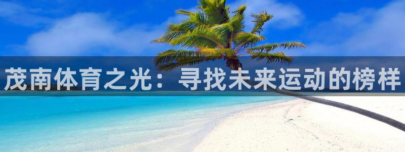 3377体育官方正版app五金厂：茂南体育之光：寻找未来运动