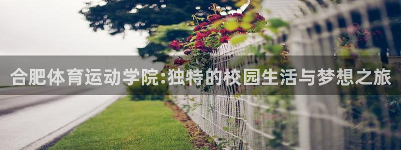 3377体育官网下载招商电话是多少啊：合肥体育运动学