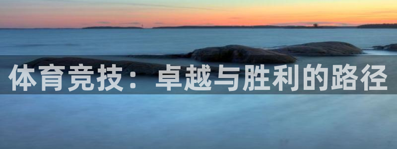 3377体育官方集团官网：体育竞技：卓越与胜利的路径