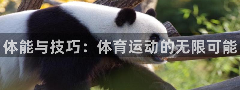3377体育官网下载招商电话号码：体能与技巧：体育运动的无限