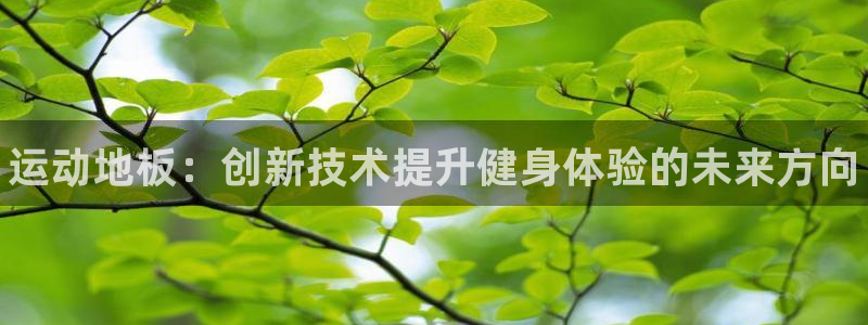3377体育官网下载招商电话号码查询是多少：运动地板