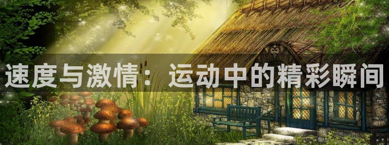 3377体育官网下载招商电话是多少：速度与激情：运动中的精彩