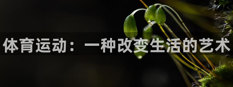 3377体育官网下载招商电话地址查询：体育运动：一种