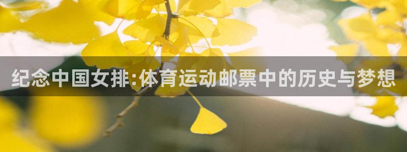 3377体育官网下载招商：纪念中国女排:体育运动邮票