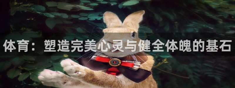 3377体育官网下载平台假的吗是真的吗吗：体育：塑造