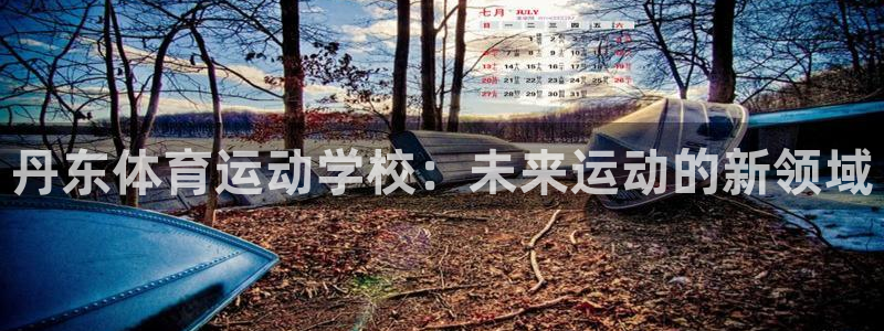 3377体育官网下载官方客服电话：丹东体育运动学校：未来运动