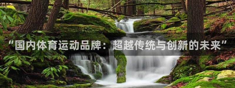 3377体育官网下载招商电话：“国内体育运动品牌：超