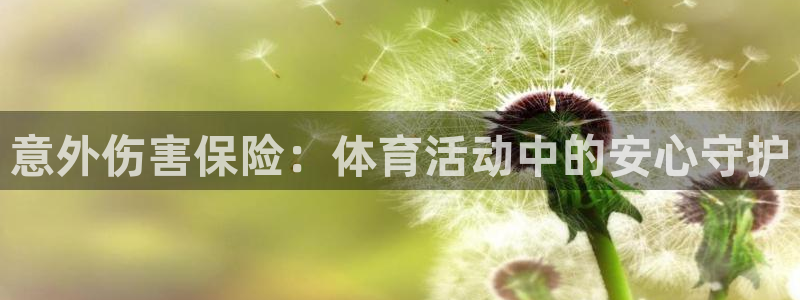 3377体育官方正版app新能源：意外伤害保险：体育活动中的