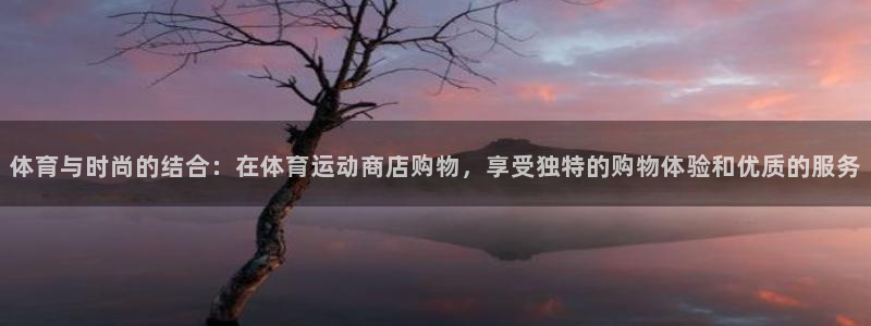 3377体育官方正版app娱乐平台：体育与时尚的结合