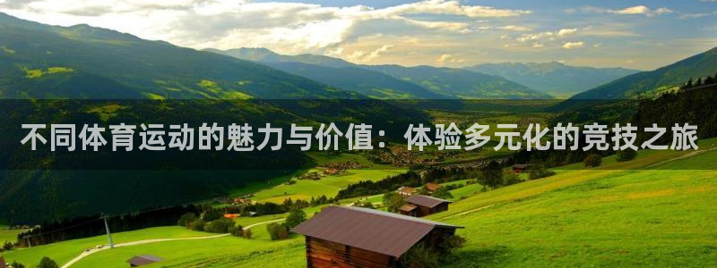 3377体育官方正版app集团logo：不同体育运动的魅力与