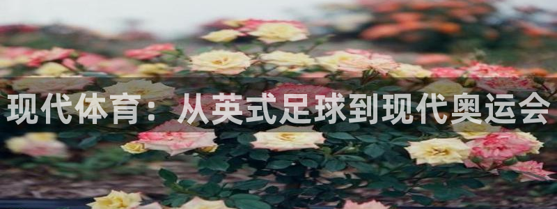 3377体育官网下载招商电话地址是多少：现代体育：从