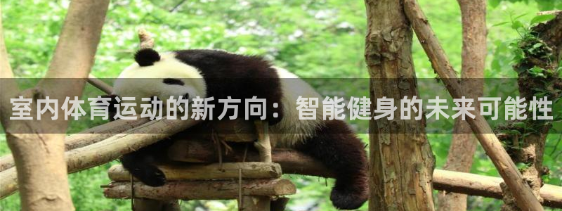 3377体育官方正版app集团：室内体育运动的新方向