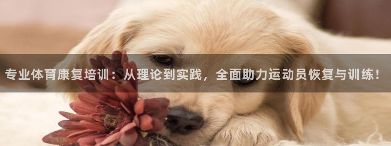 3377体育官网下载平台APP：专业体育康复培训：从