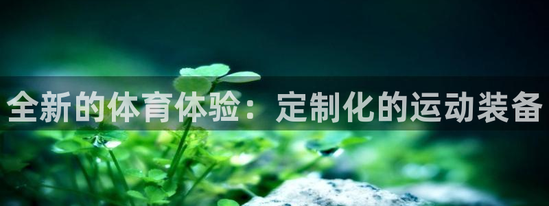 海南3377体育官网下载发展怎么样：全新的体育体验：