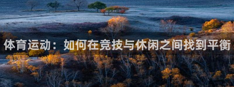 3377体育官方平台体育：体育运动：如何在竞技与休闲