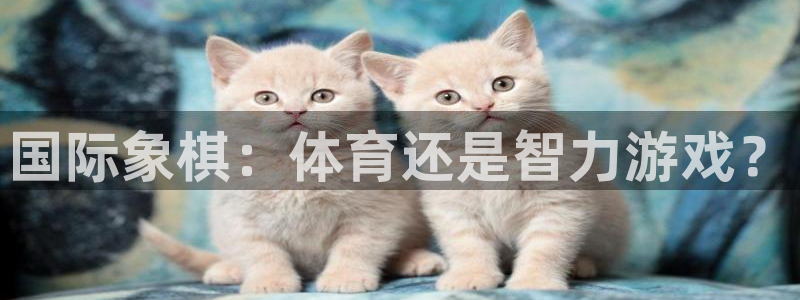 3377体育官网下载招商电话号码查询：国际象棋：体育