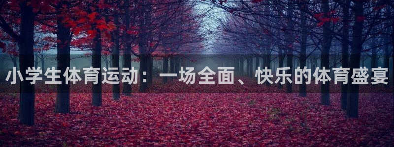 3377体育官方正版app代理：小学生体育运动：一场全面、快