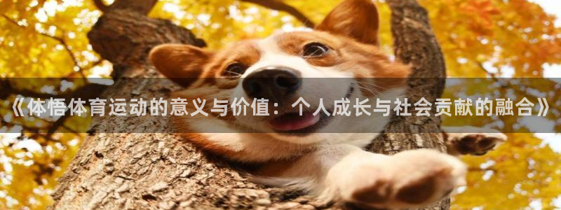 3377体育官网下载官方客服电话：《体悟体育运动的意义与价值