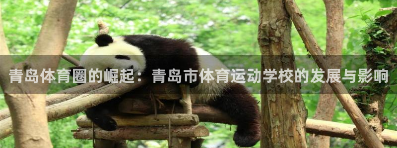 3377体育官网下载平台假的吗是真的吗吗：青岛体育圈的崛起：