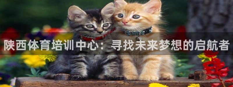 3377体育官方正版app娱乐是那个系列的台子：陕西