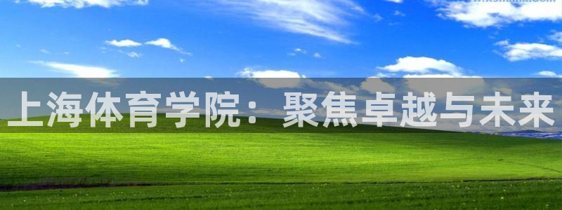 3377体育官方正版app集团简介：上海体育学院：聚
