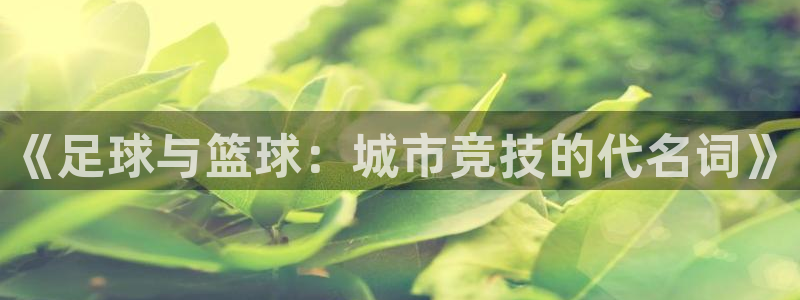 3377体育官网下载平台注册流程图：《足球与篮球：城市竞技的