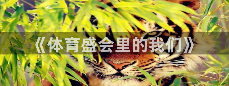 3377体育官方正版app集团：《体育盛会里的我们》